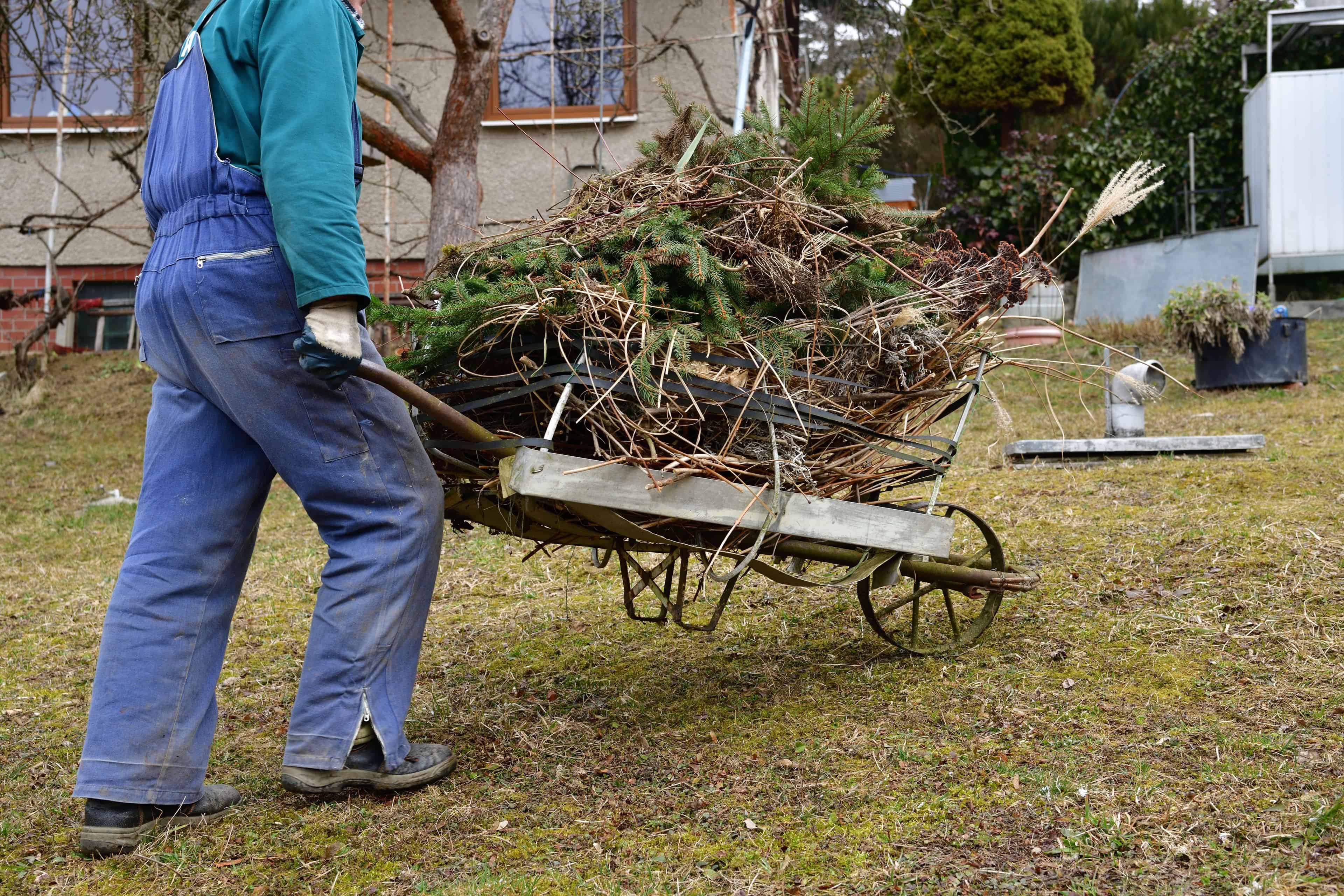 Seasonal Yard Cleanups image