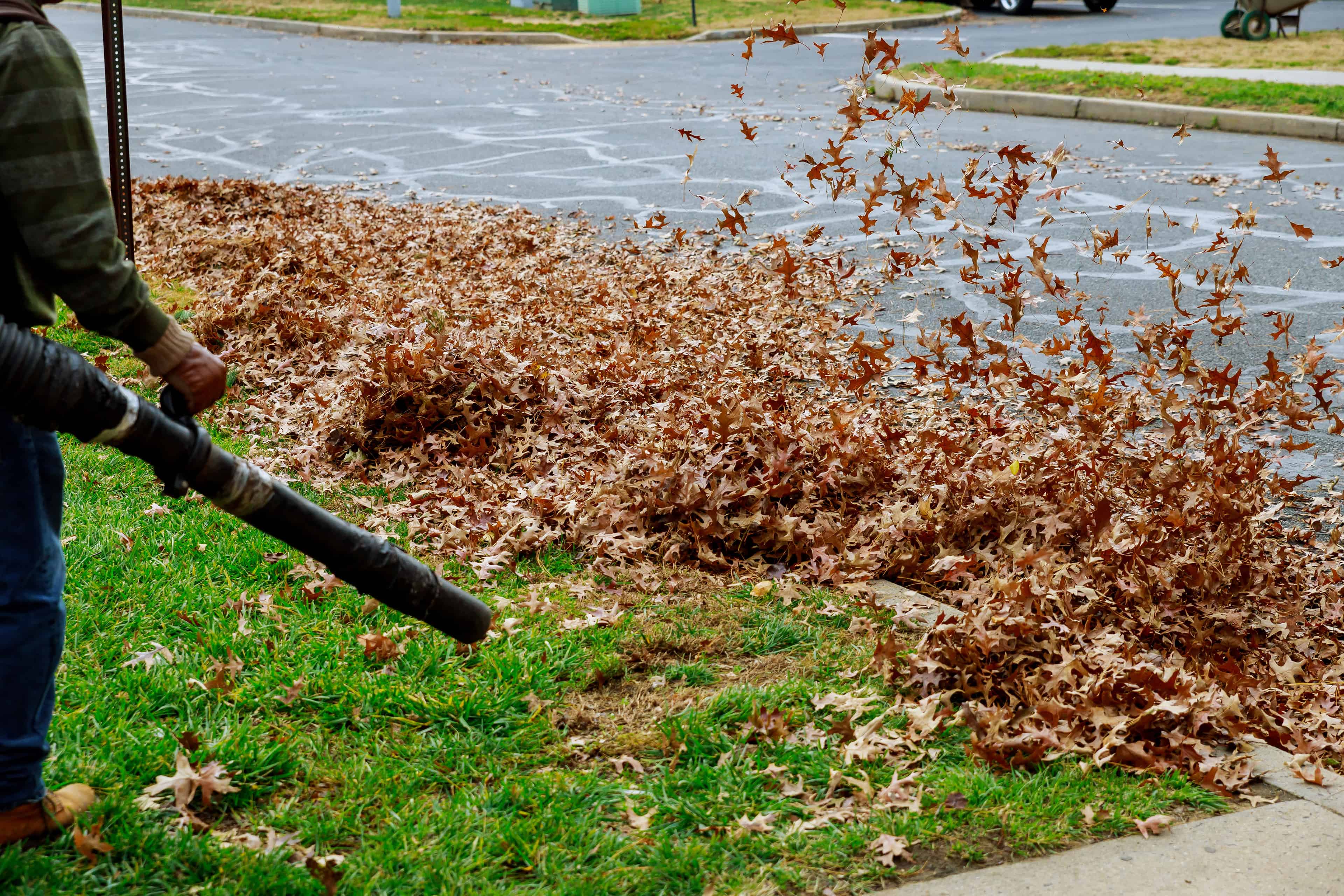 Leaf Removal image