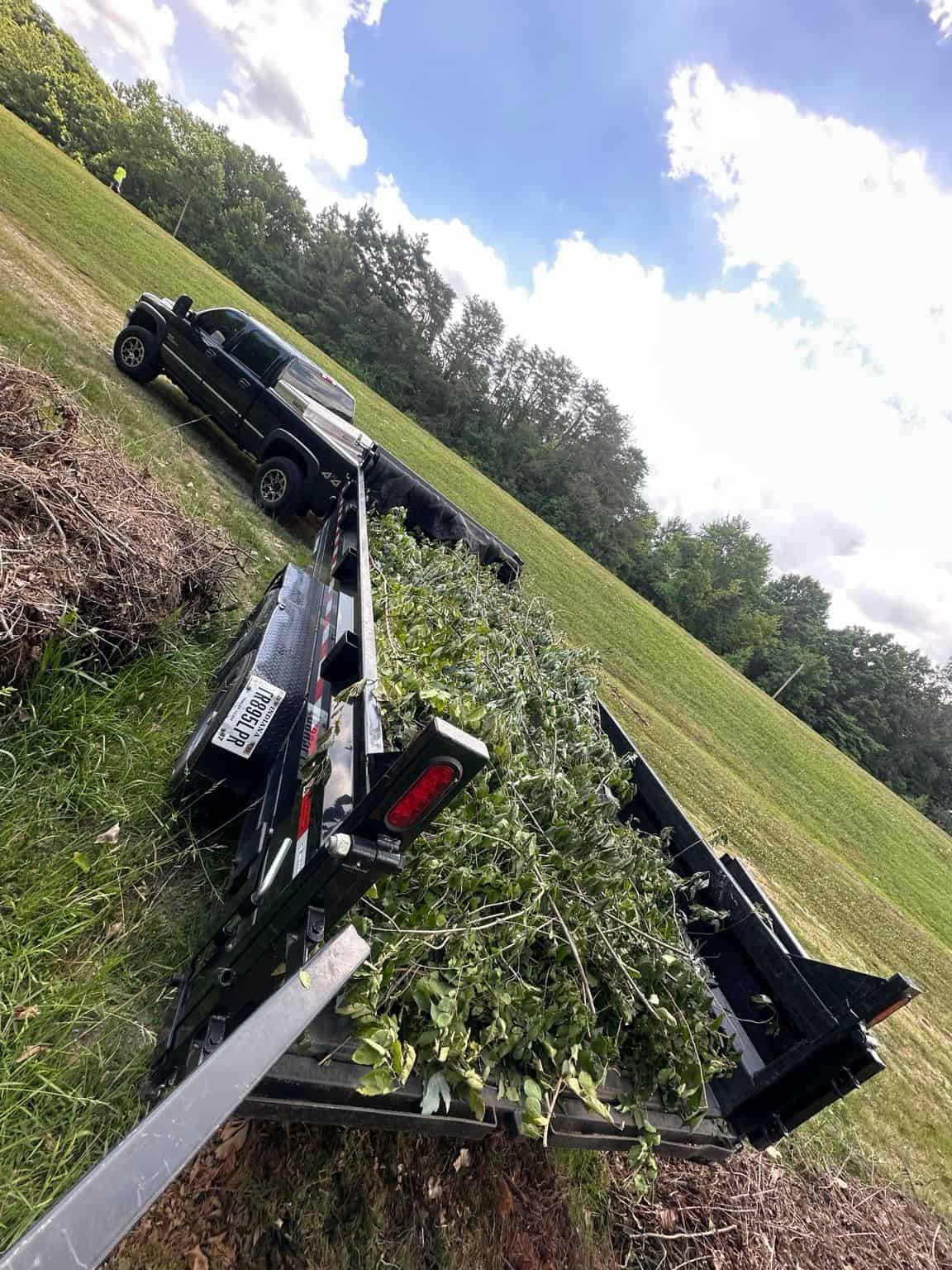 Seasonal Yard Cleanups image