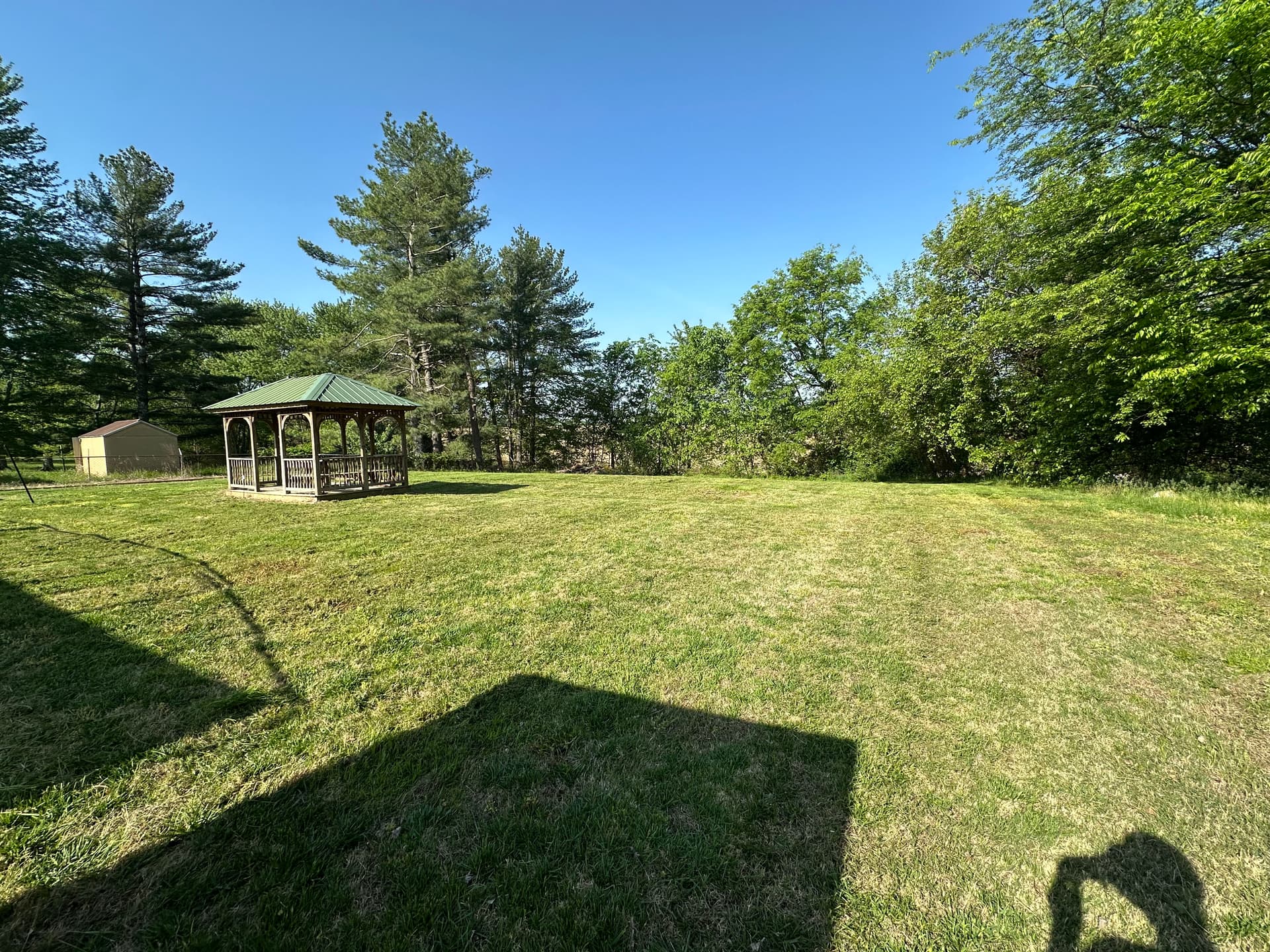 Gallery photos for From Overgrown to Open - a Fresh Cut That Actually Shows: Image #1