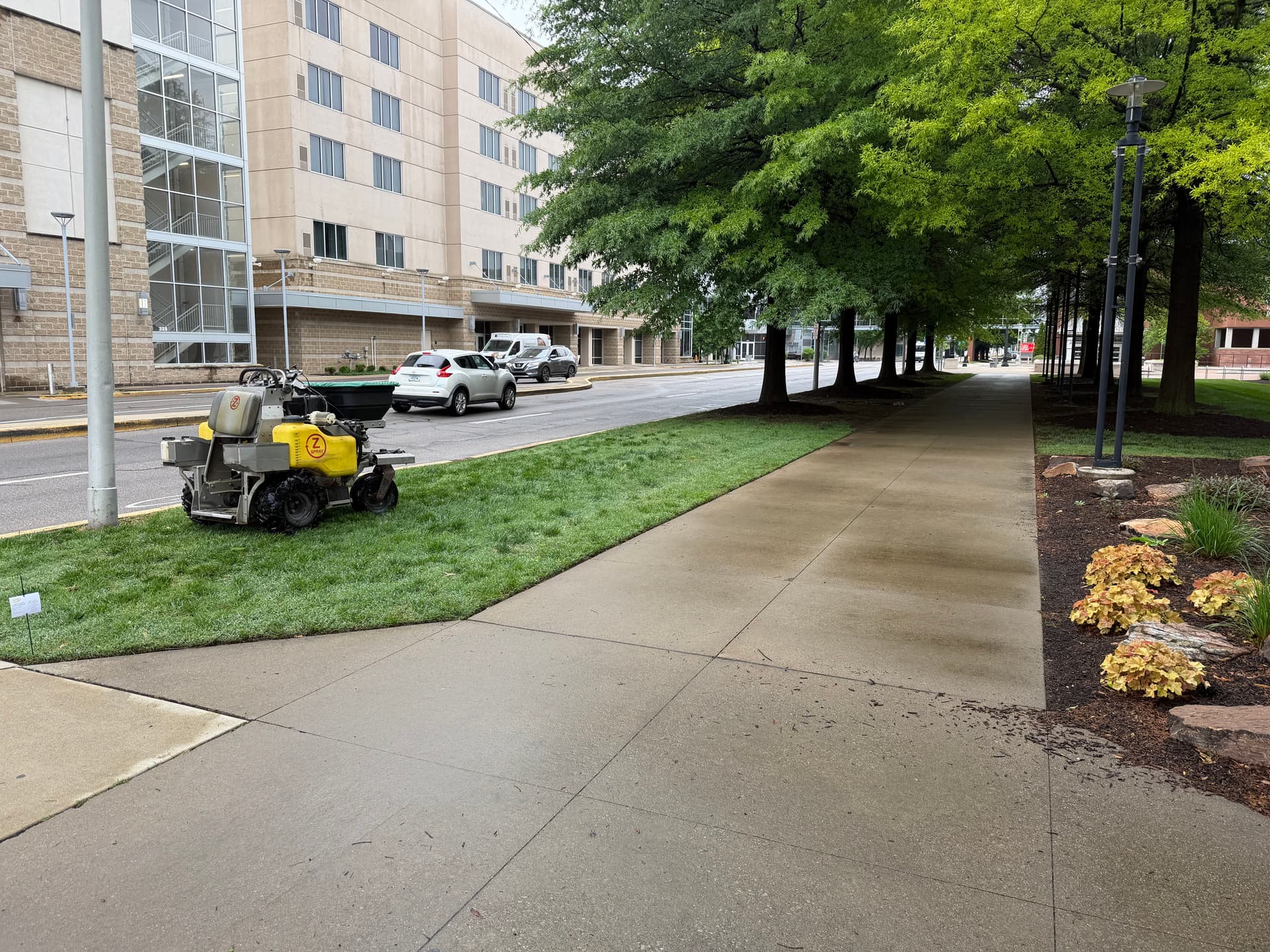 Gallery photos for We Mow in the Rain and Here's Why That Works: Image #1