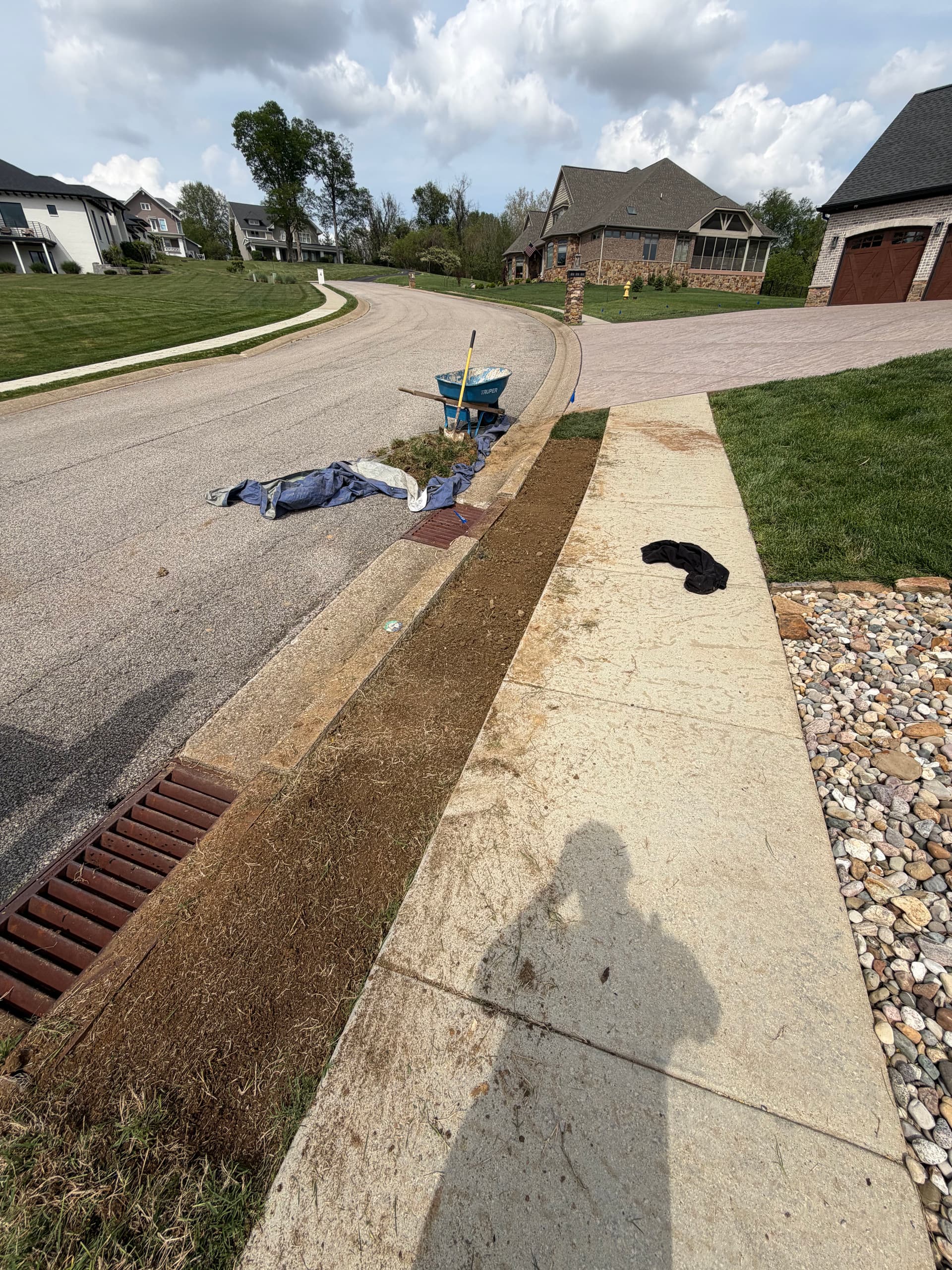 Gallery photos for Removing Bermuda Grass and Installing Tall Fescue Sod: Image #4