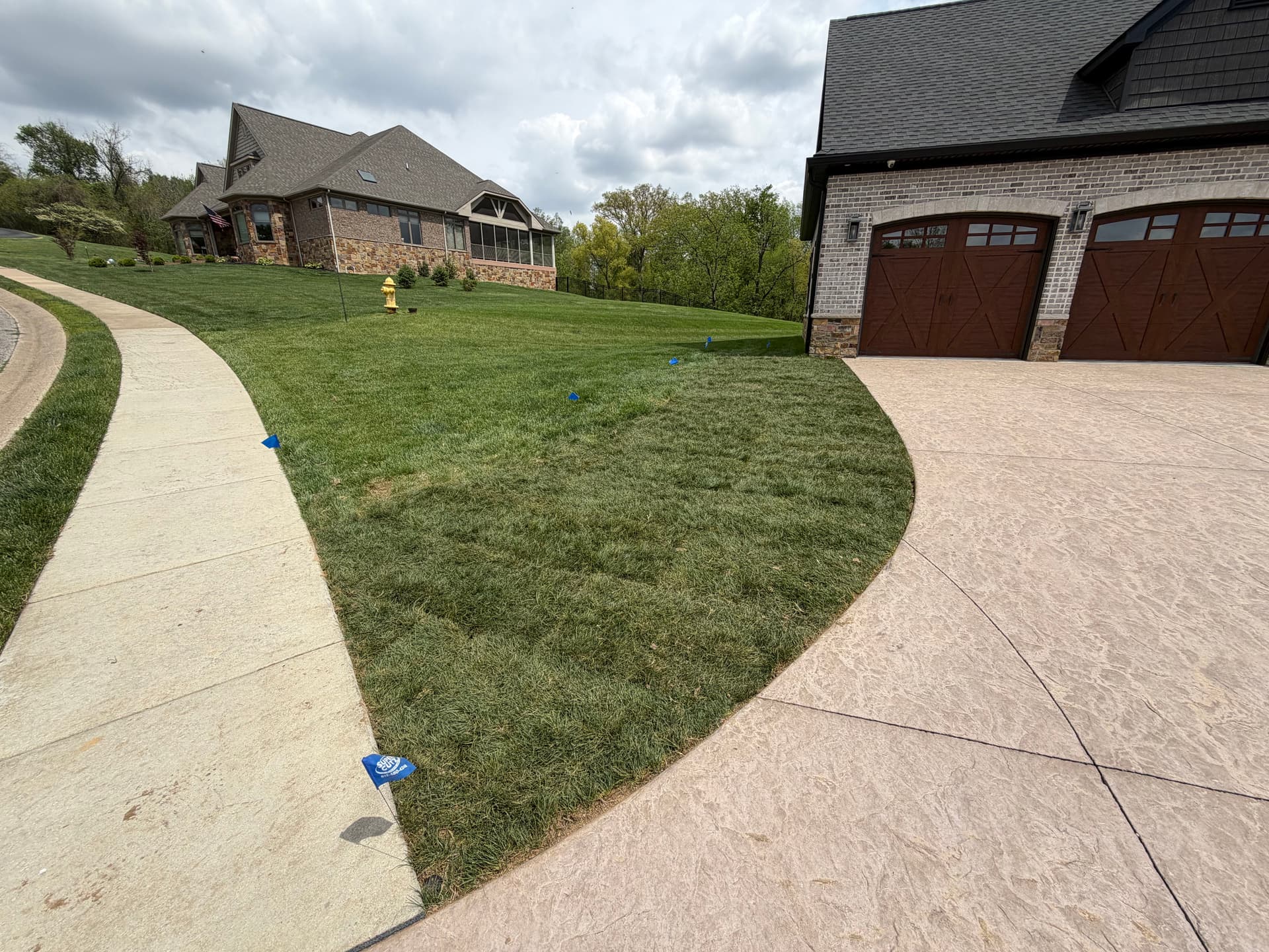 Gallery photos for Removing Bermuda Grass and Installing Tall Fescue Sod: Image #2