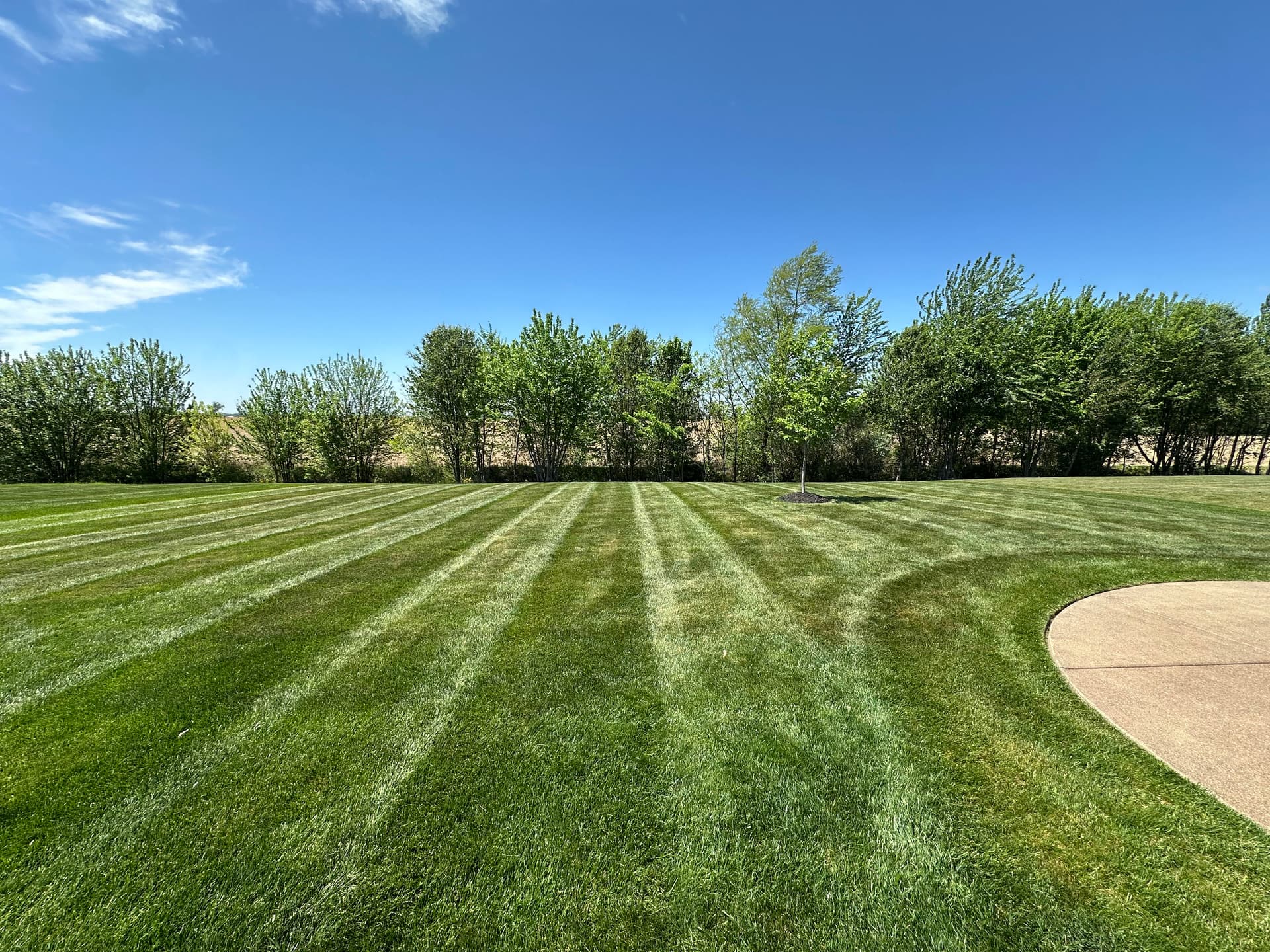 Gallery photos for Crisp Mowing Lines That Make Any Property Stand Out: Image #1