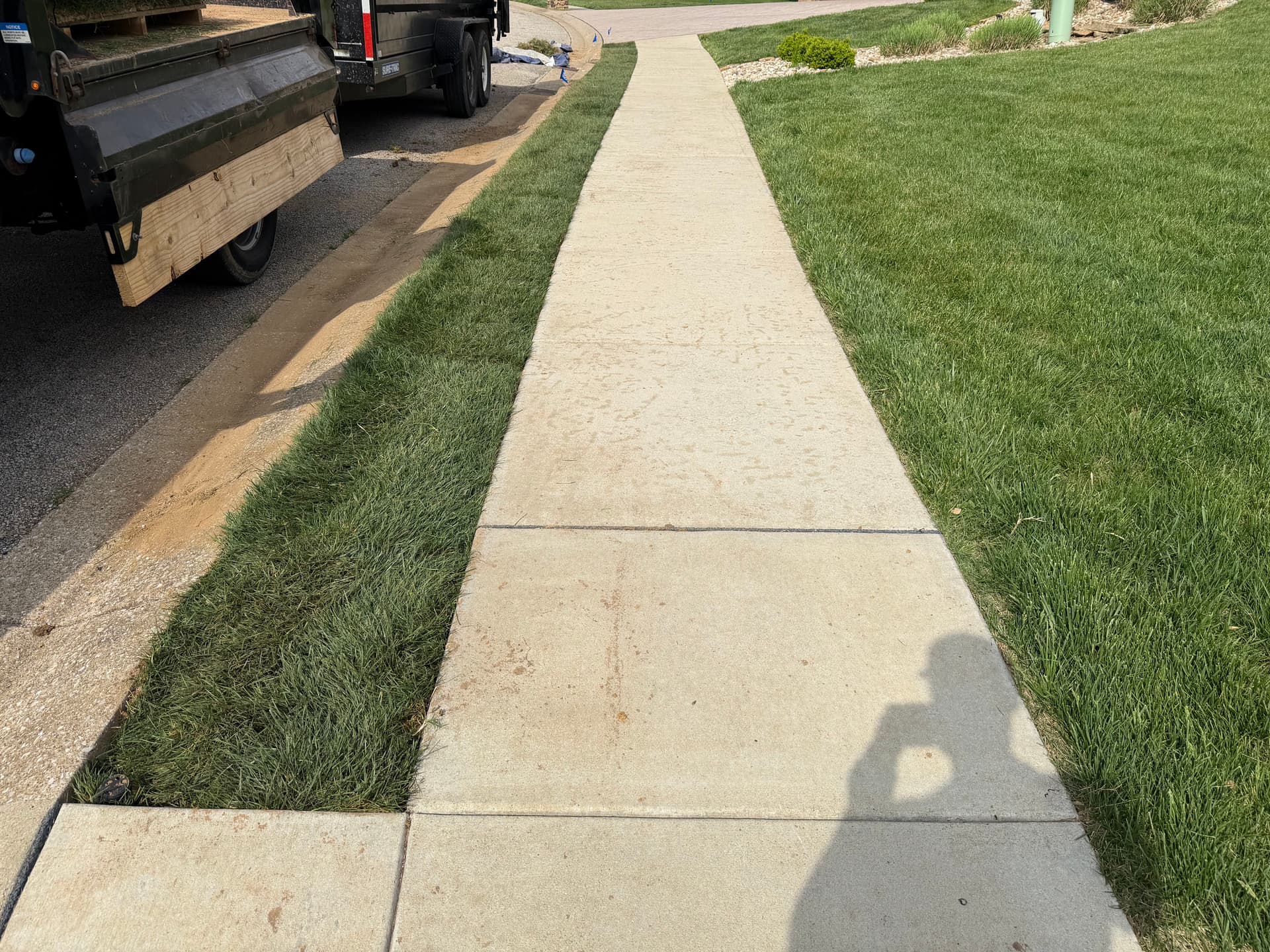 Gallery photos for Removing Bermuda Grass and Installing Tall Fescue Sod: Image #6