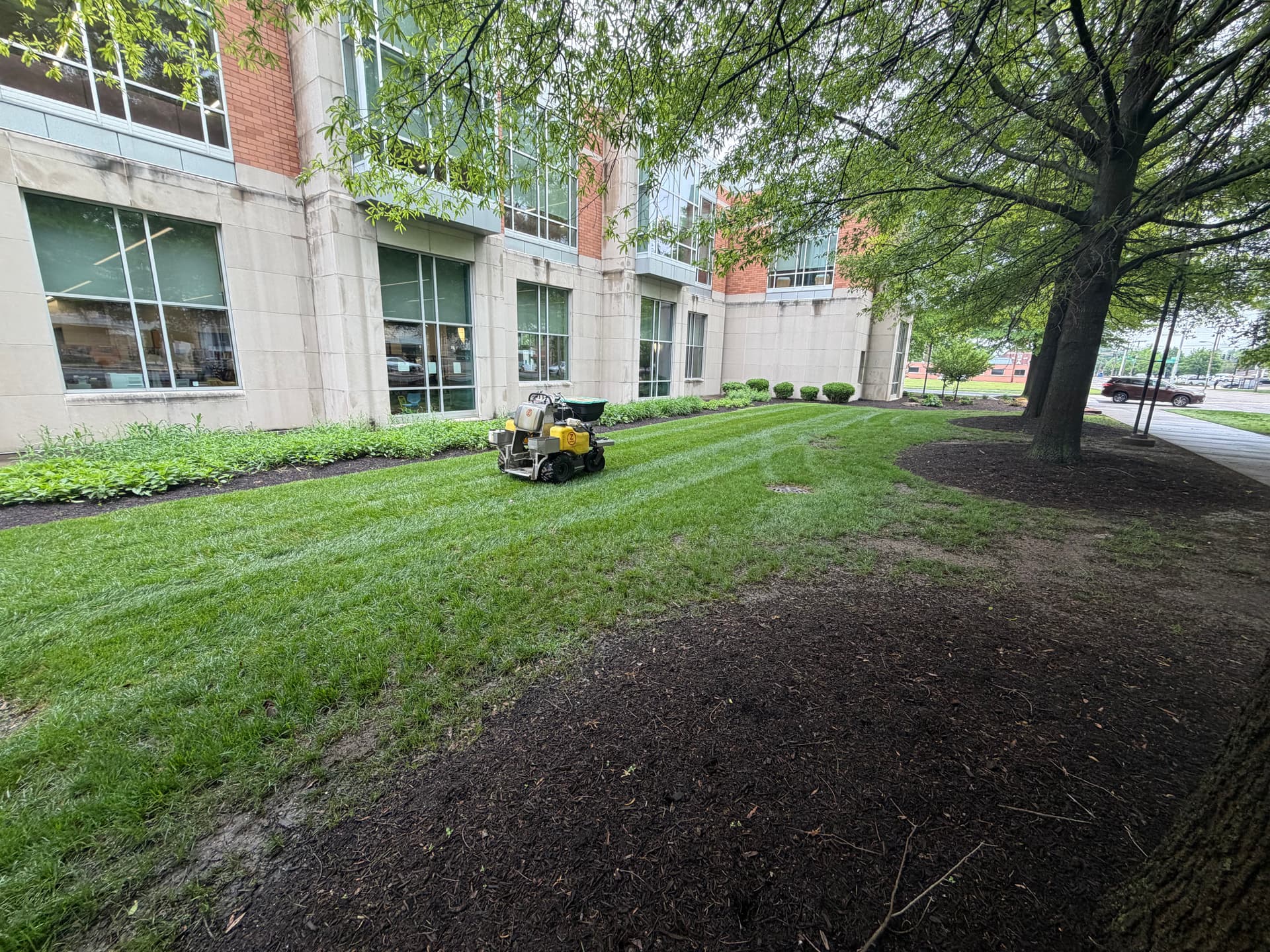 We Mow in the Rain and Here's Why That Works image