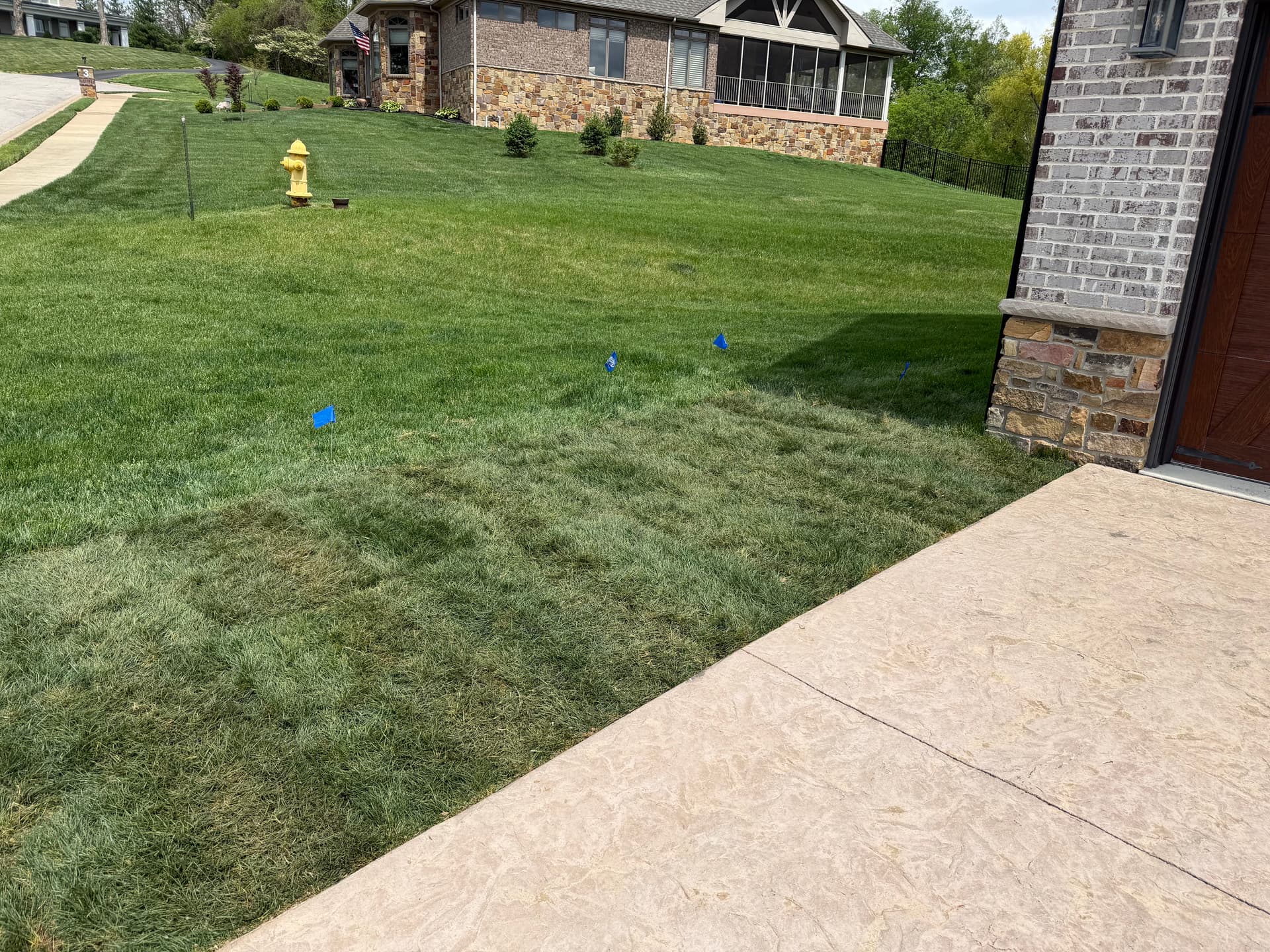 Gallery photos for Removing Bermuda Grass and Installing Tall Fescue Sod: Image #3