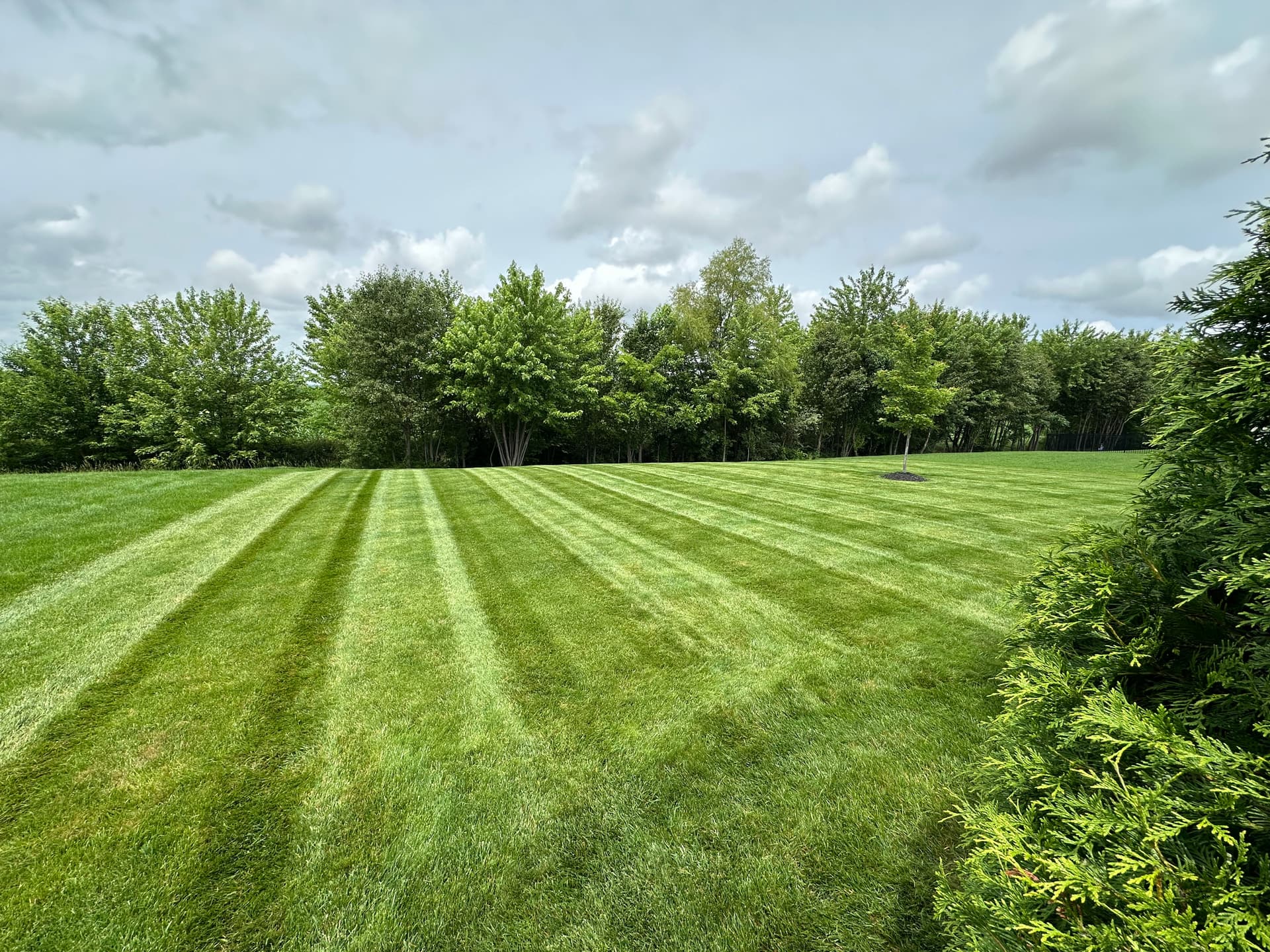 Gallery photos for From Wide-Open Fields to Weekly Lawn Cuts We Handle It All: Image #1